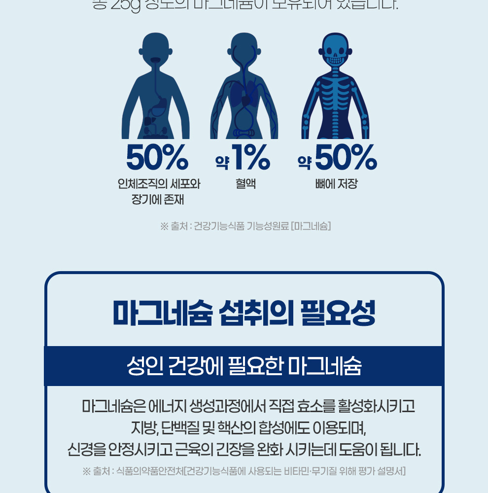 마그네슘비타민